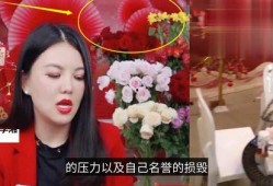 天真直播爆料视频大全在线观看,揭秘幕后真相，带你领略直播界的风云变幻