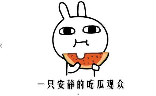 吃瓜表情是什么意思啊内涵句子,网络热词背后的趣味与内涵